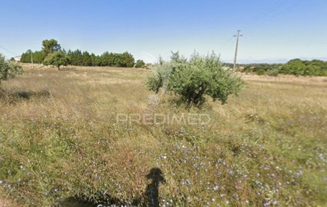 Terreno para Venda em Paialvo Foto 2