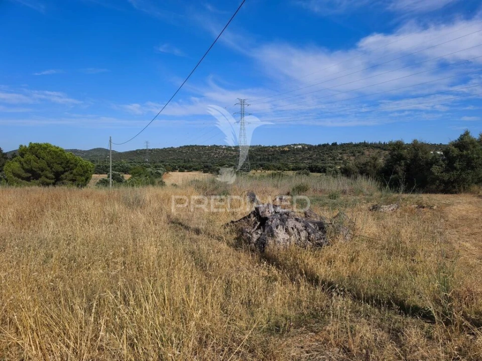 Terreno para Venda em Paderne Foto 4