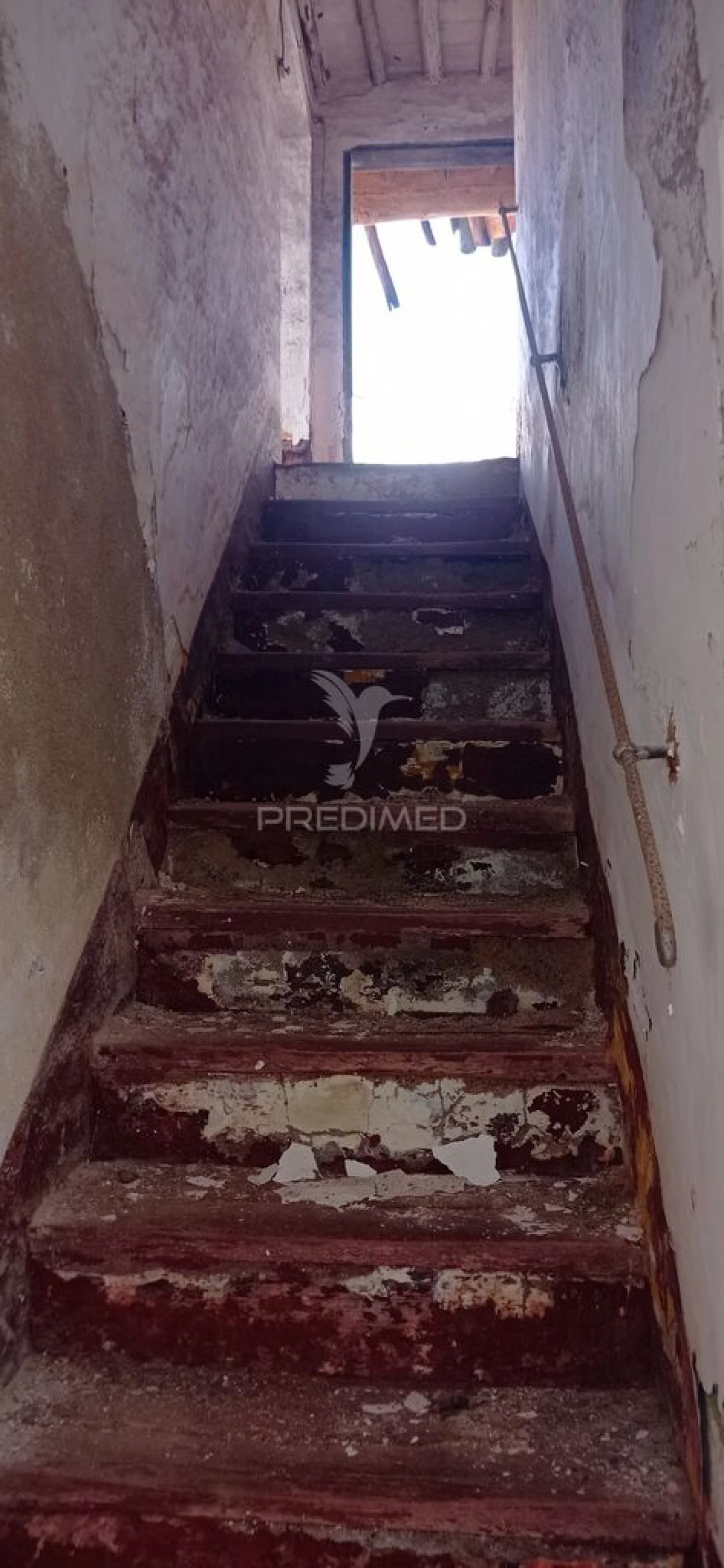 Prédio para Venda em Sousel Foto 2