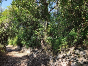 Terreno para Venda em Paderne