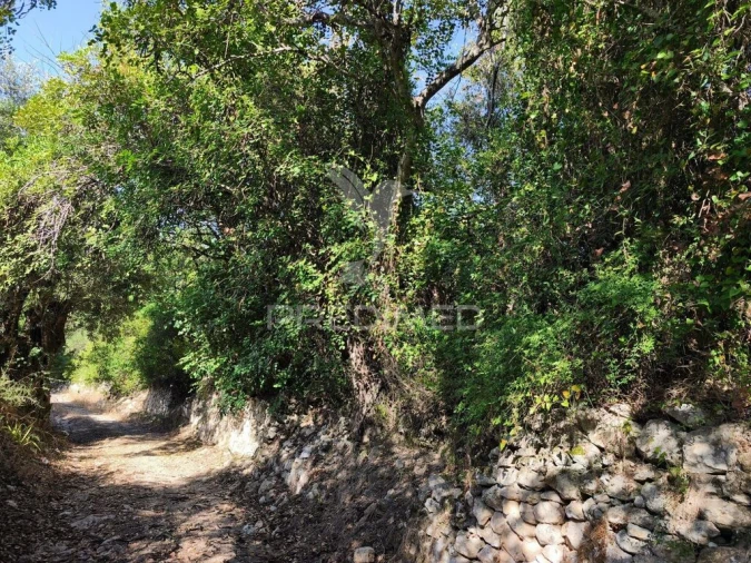 Terreno para Venda em Paderne Foto 6