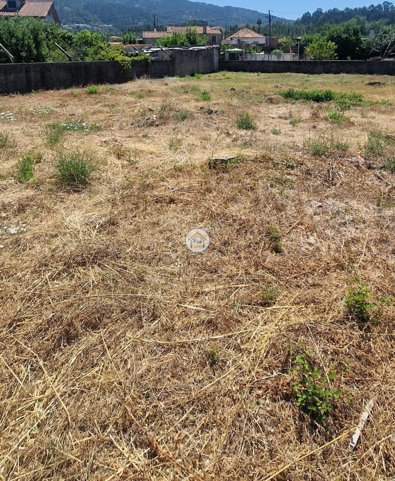 Terreno para Venda em Lousã e Vilarinho Foto 3