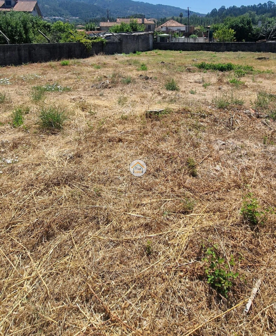 Terreno para Venda em Lousã e Vilarinho Foto 3