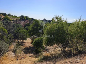 Terreno para Venda em Paderne