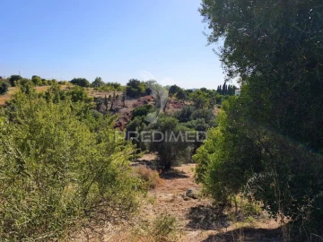 Terreno para Venda em Paderne