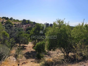 Terreno para Venda em Paderne