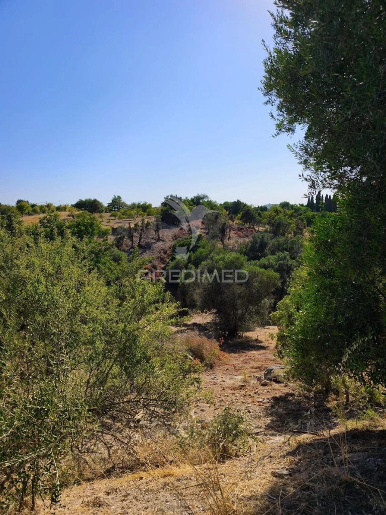Terreno para Venda em Paderne Foto 1