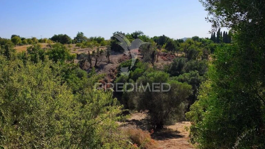 Terreno para Venda em Paderne