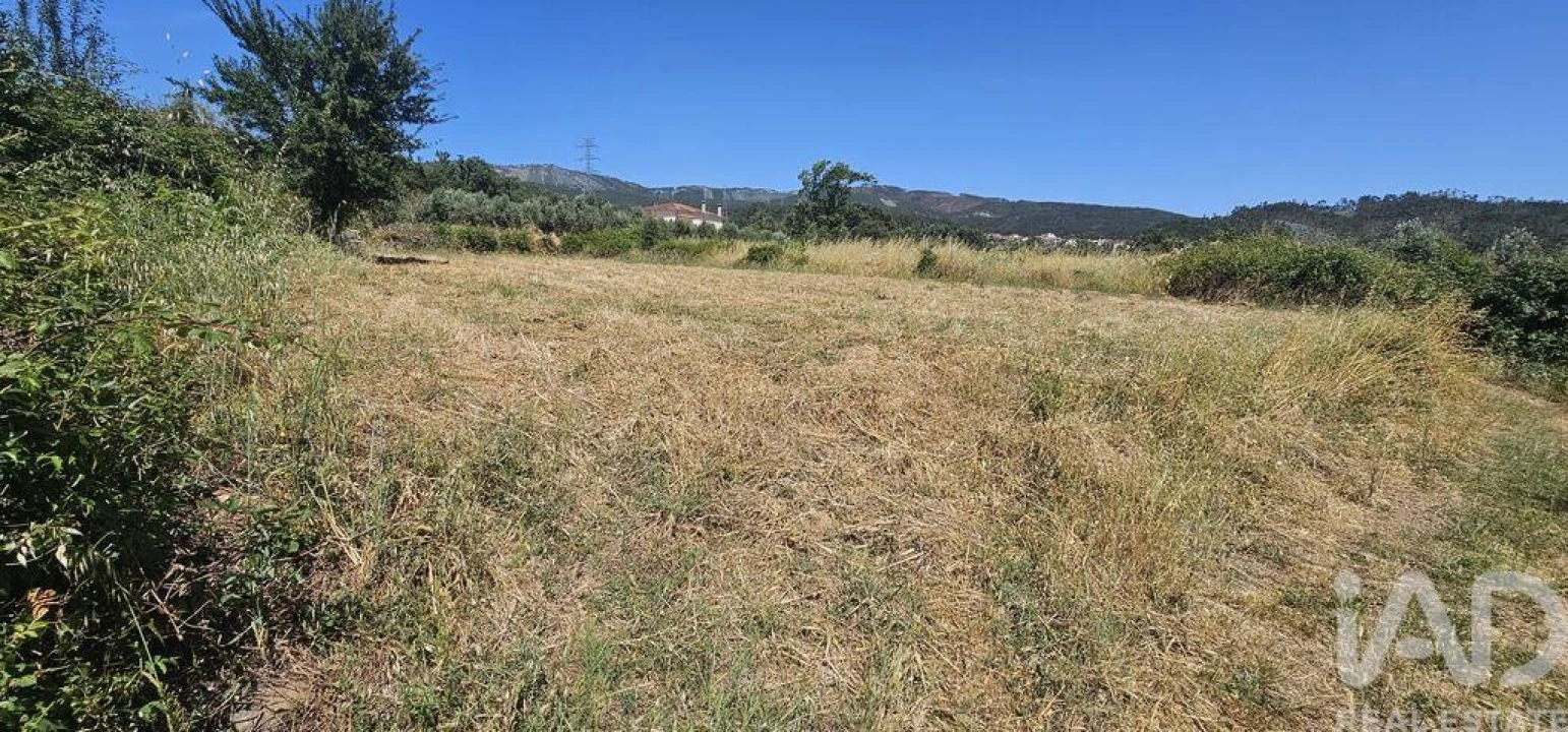 Terreno para Venda em Cumeeira Foto 8