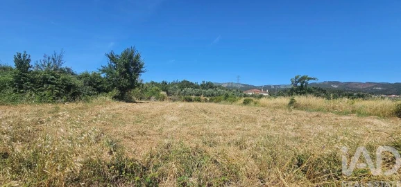 Terreno para Venda em Cumeeira
