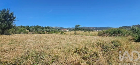 Terreno para Venda em Cumeeira