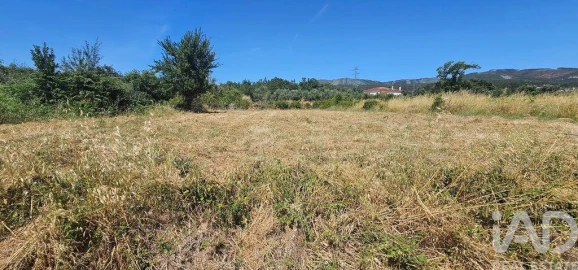 Terreno para Venda em Cumeeira