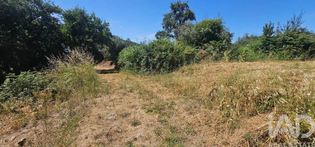 Terreno para Venda em Cumeeira Foto 2
