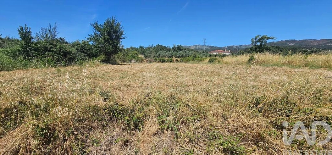 Terreno para Venda em Cumeeira Foto 4