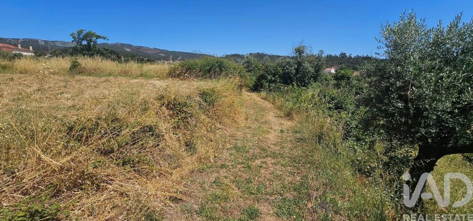 Terreno para Venda em Cumeeira Foto 7