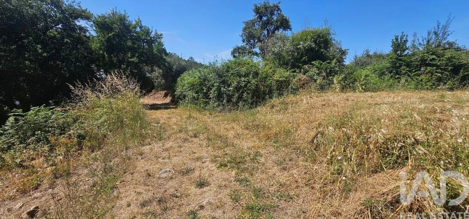 Terreno para Venda em Cumeeira Foto 2