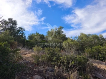 Terreno para Venda em Paderne