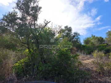 Terreno para Venda em Paderne