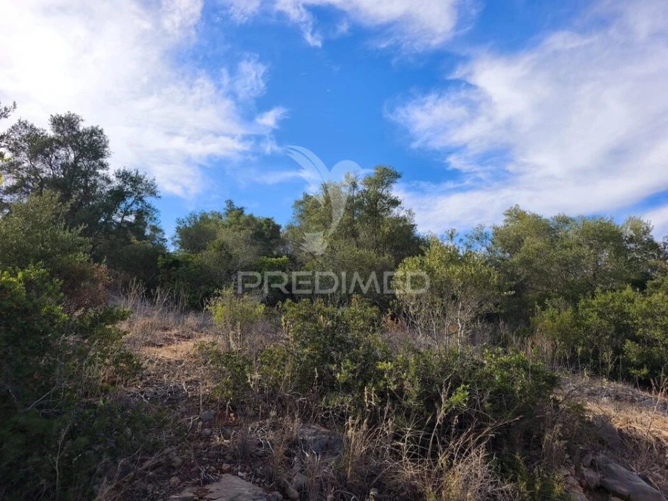Terreno para Venda em Paderne Foto 1