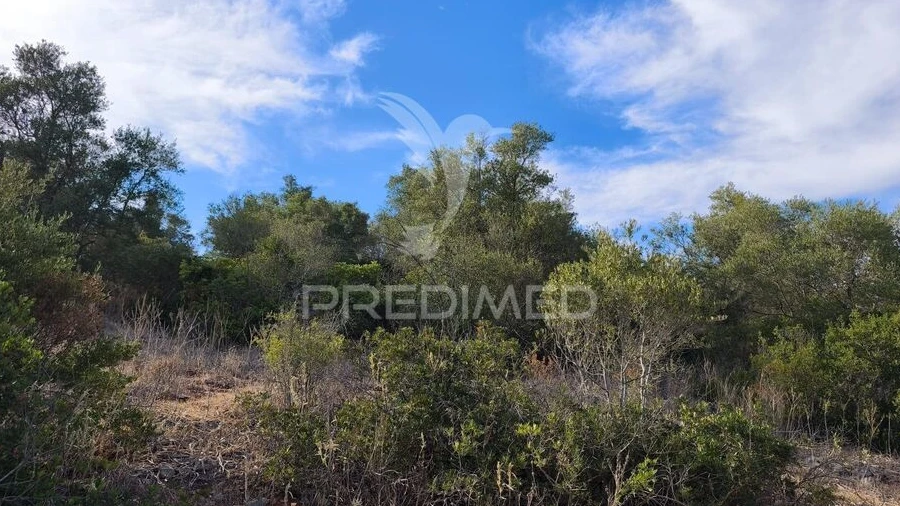 Terreno para Venda em Paderne