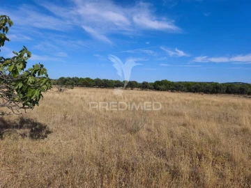 Terreno para Venda em Paderne