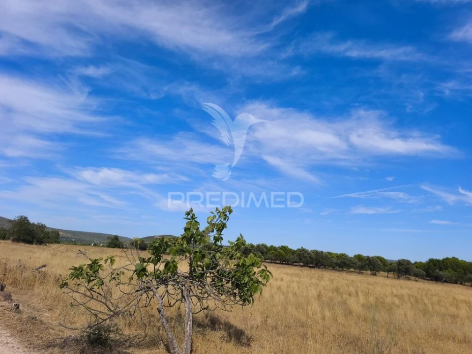 Terreno para Venda em Paderne Foto 7