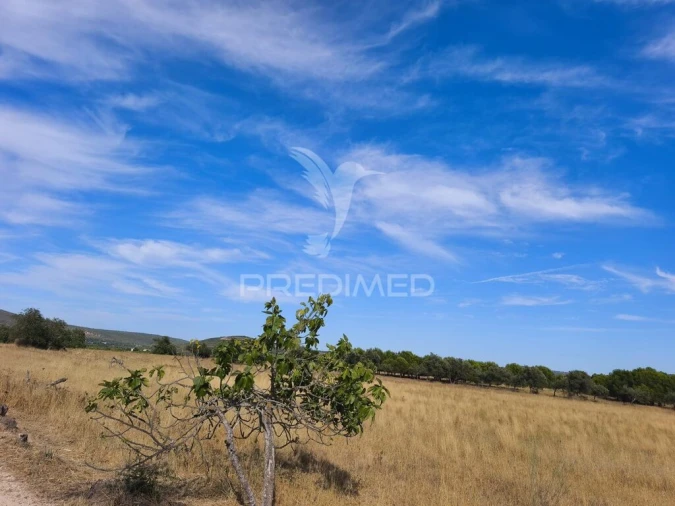 Terreno para Venda em Paderne Foto 7