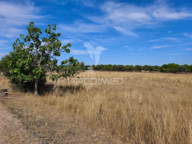 Terreno para Venda em Paderne Foto 5