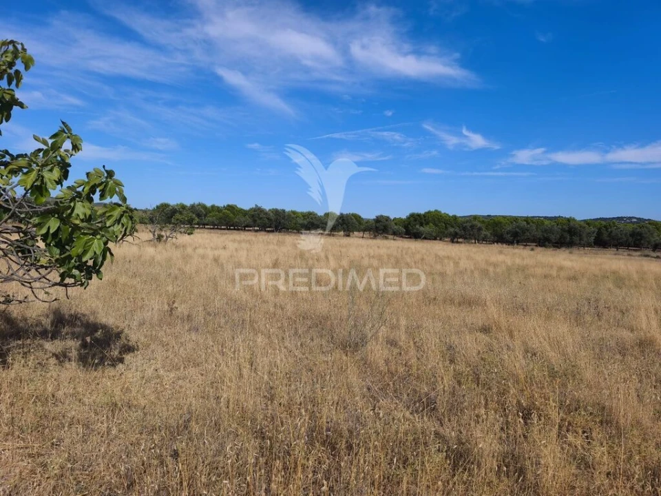 Terreno para Venda em Paderne Foto 2