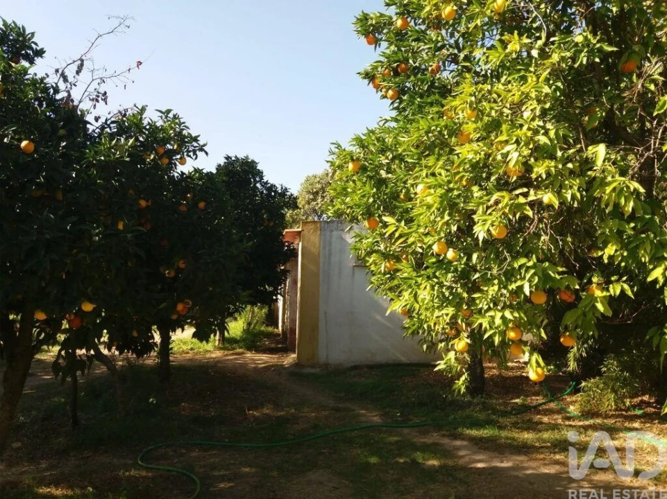 Quinta para Venda em Gafete Foto 4