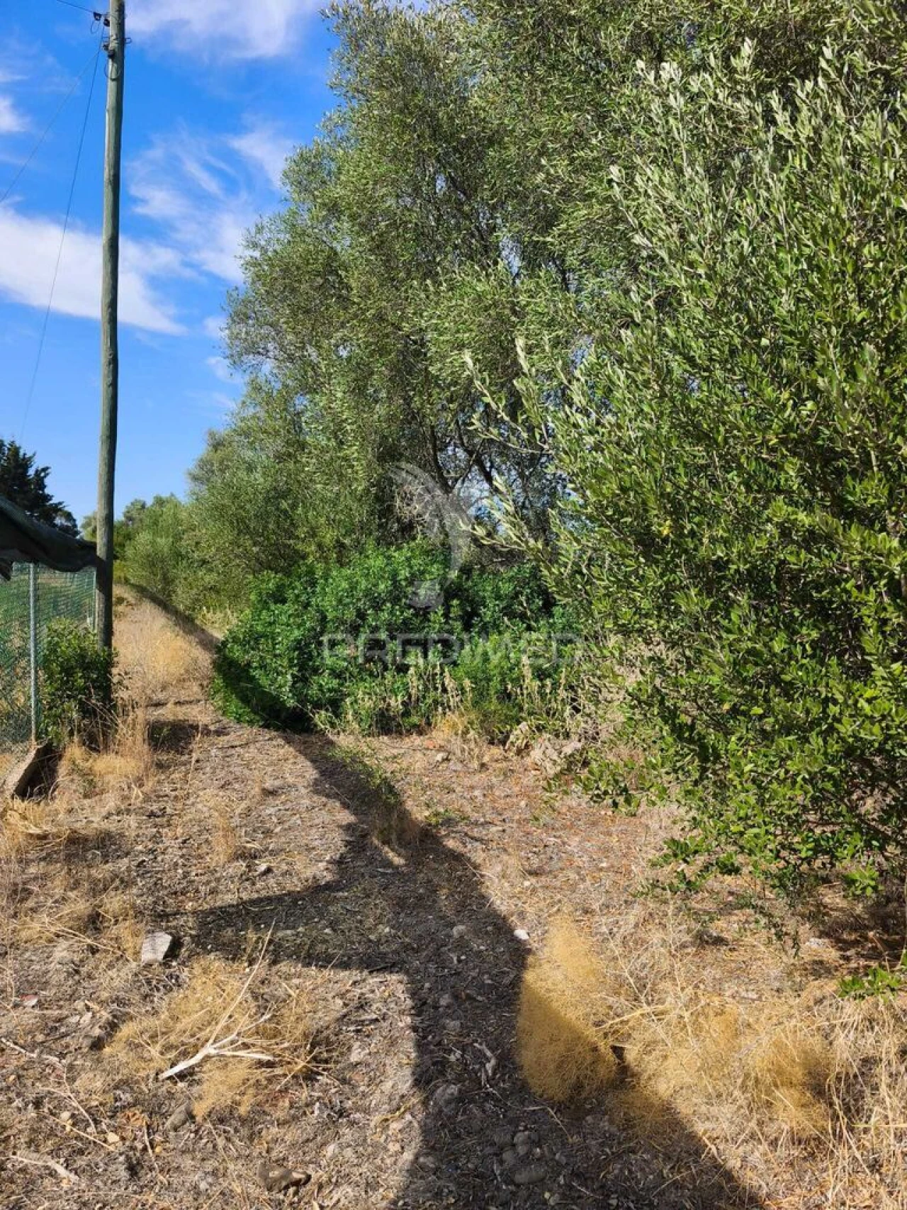 Terreno para Venda em Paderne Foto 3