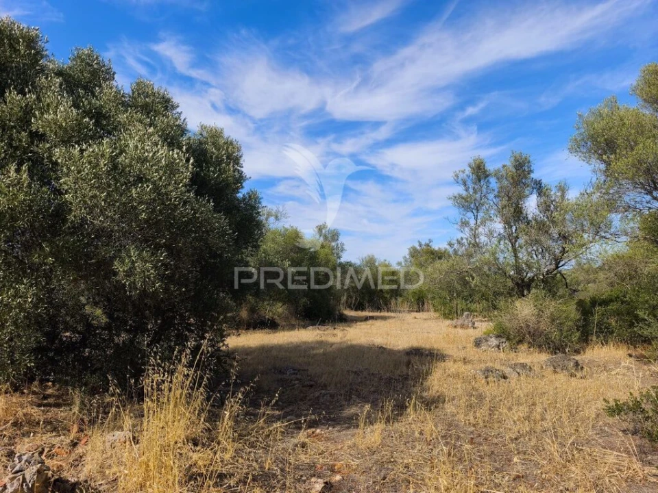 Terreno para Venda em Paderne Foto 1