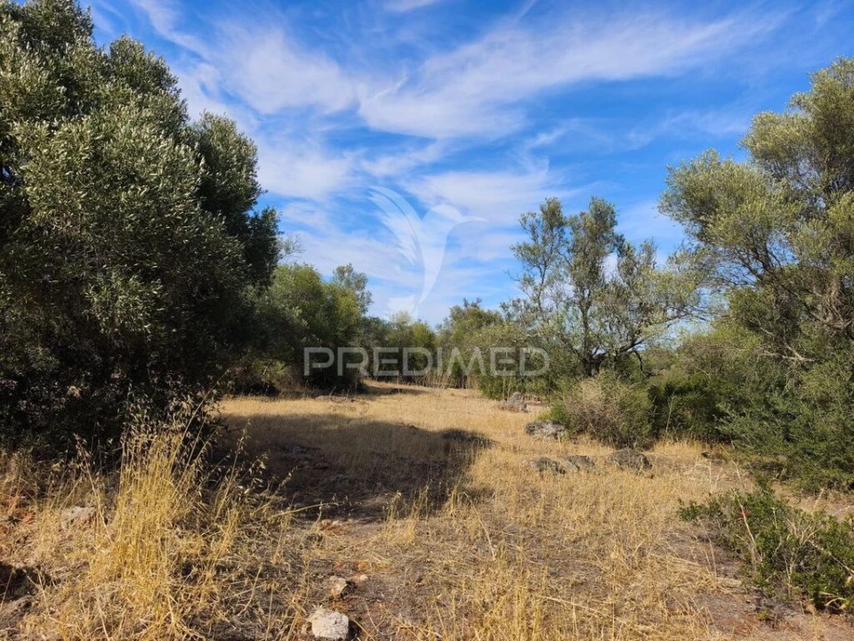 Terreno para Venda em Paderne Foto 5