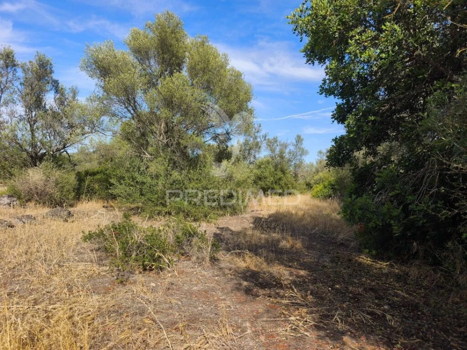 Terreno para Venda em Paderne Foto 4