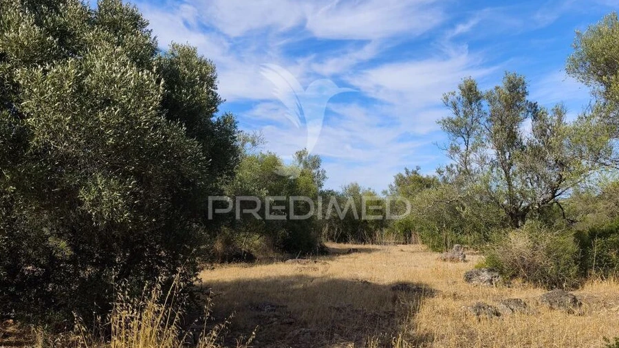 Terreno para Venda em Paderne