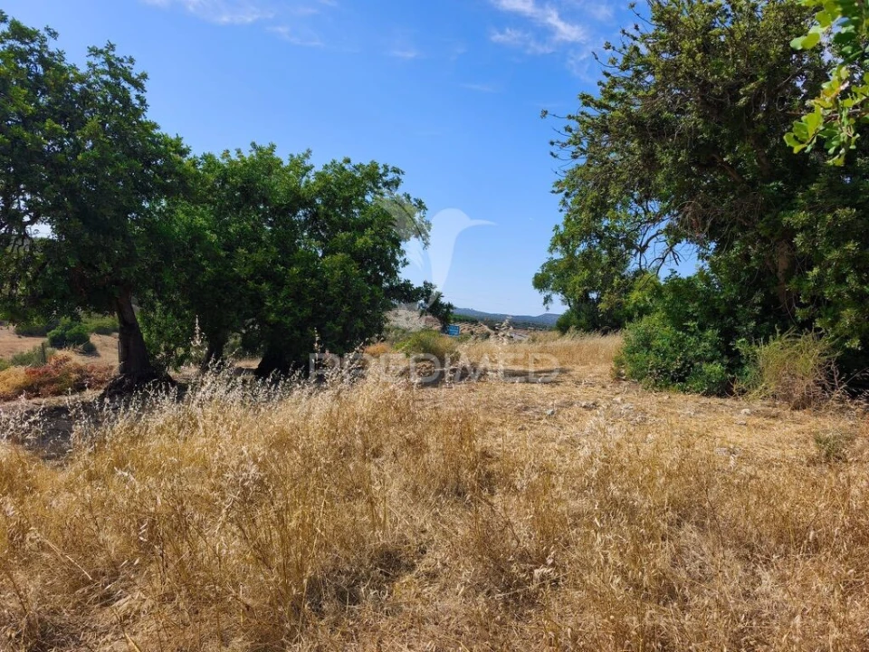 Terreno para Venda em Paderne Foto 3
