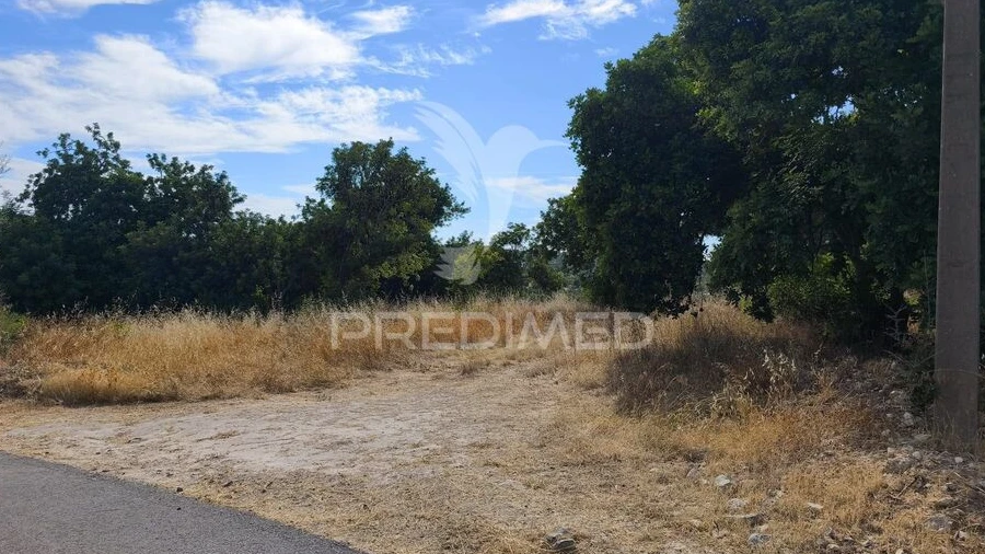 Terreno para Venda em Paderne