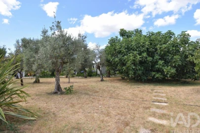 Terreno para Venda em São Miguel, Santa Eufémia e Rabaçal