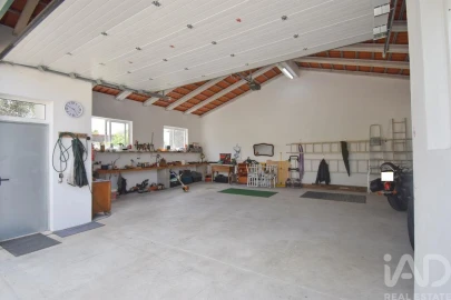 Terreno para Venda em São Miguel, Santa Eufémia e Rabaçal