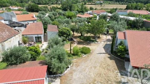 Terreno para Venda em São Miguel, Santa Eufémia e Rabaçal