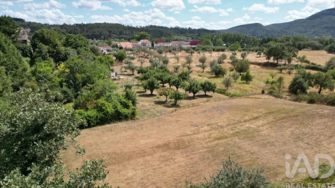 Terreno para Venda em São Miguel, Santa Eufémia e Rabaçal