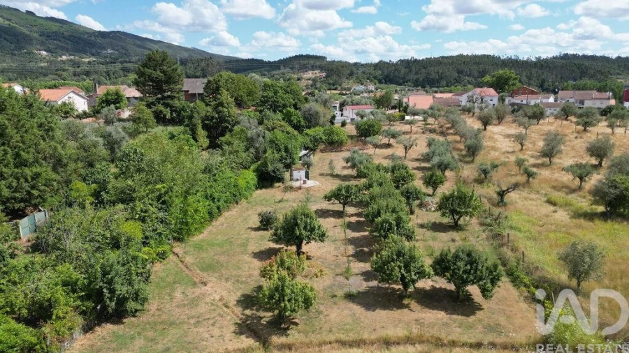 Terreno para Venda em São Miguel, Santa Eufémia e Rabaçal Foto 38