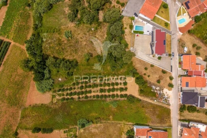 Terreno para Venda em Alcobaça e Vestiaria