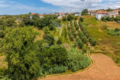 Terreno para Venda em Alcobaça e Vestiaria