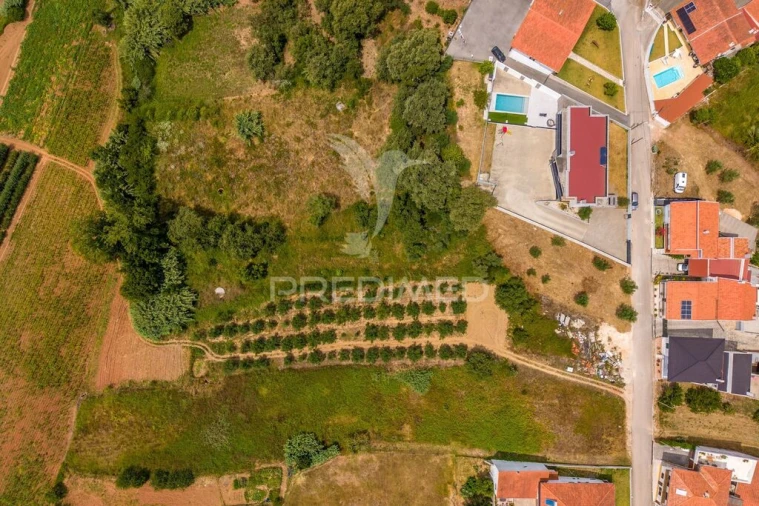 Terreno para Venda em Alcobaça e Vestiaria Foto 12