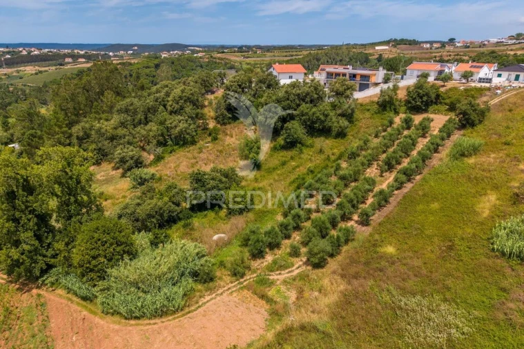 Terreno para Venda em Alcobaça e Vestiaria Foto 3