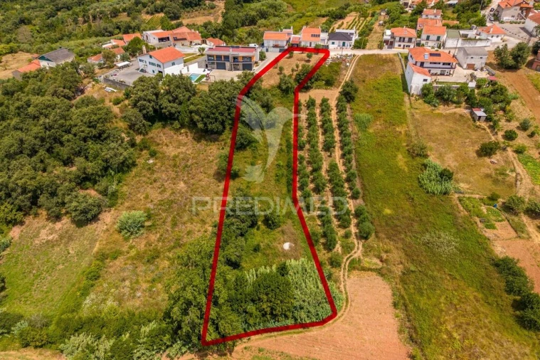 Terreno para Venda em Alcobaça e Vestiaria Foto 6