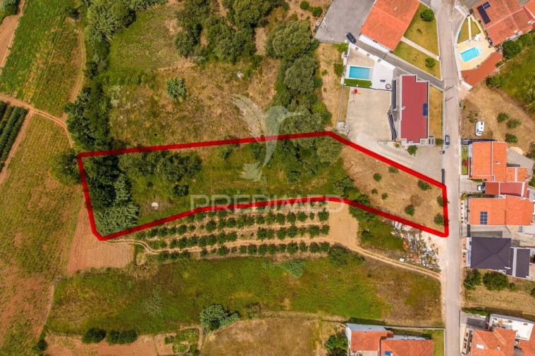Terreno para Venda em Alcobaça e Vestiaria Foto 13