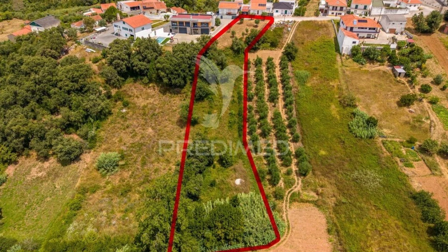 Terreno para Venda em Alcobaça e Vestiaria