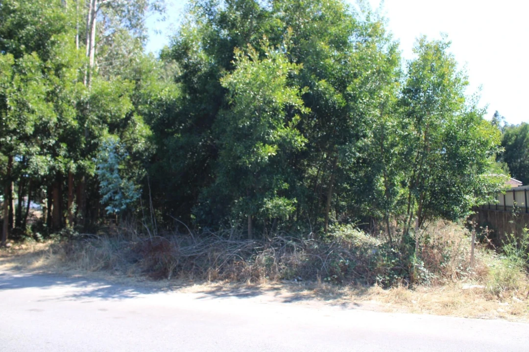 Terreno para Venda em Avanca Foto 3